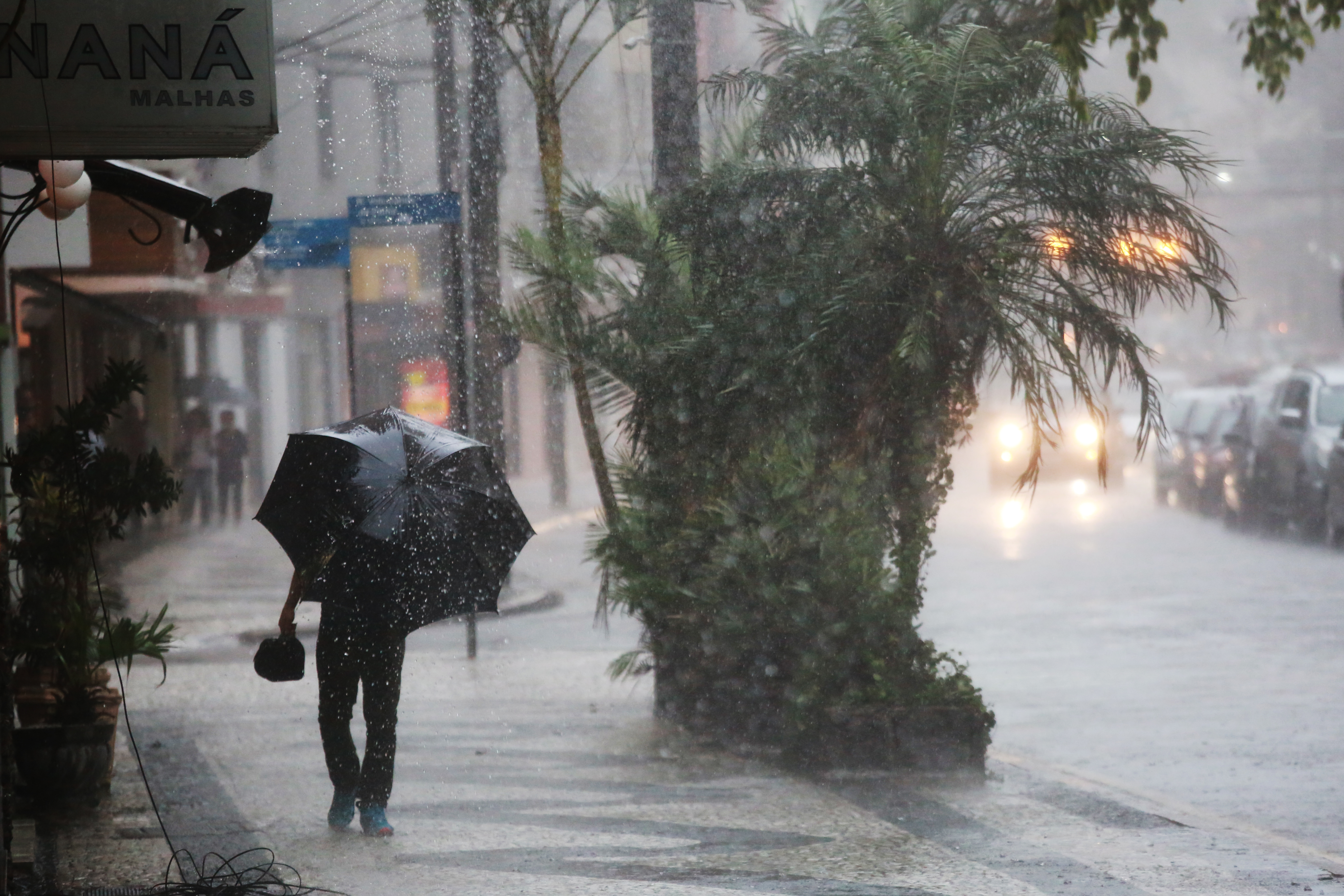 Semana foi de muita chuva para o curitibano. | Felipe Rosa/Tribuna do Paraná