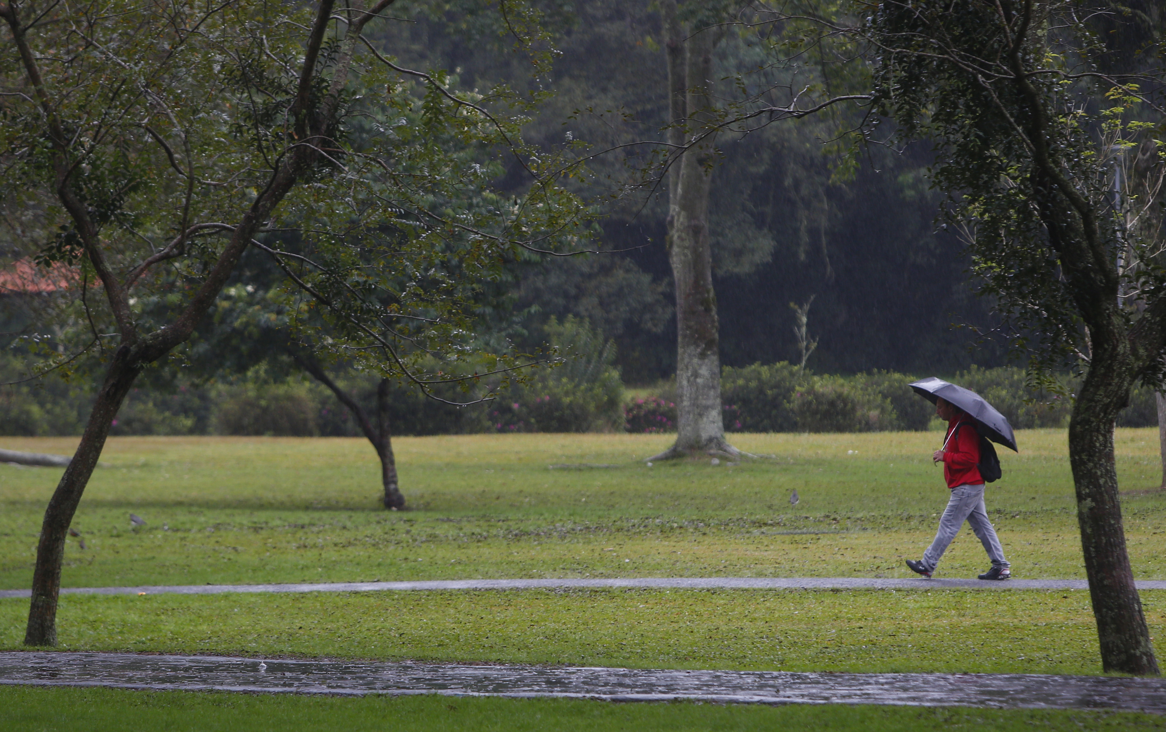| Aniele Nascimento/Gazeta do Povo