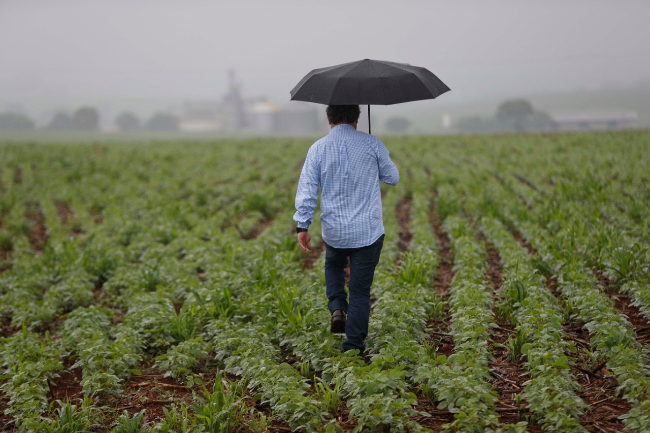  | Jonathan Campos/Gazeta do Povo