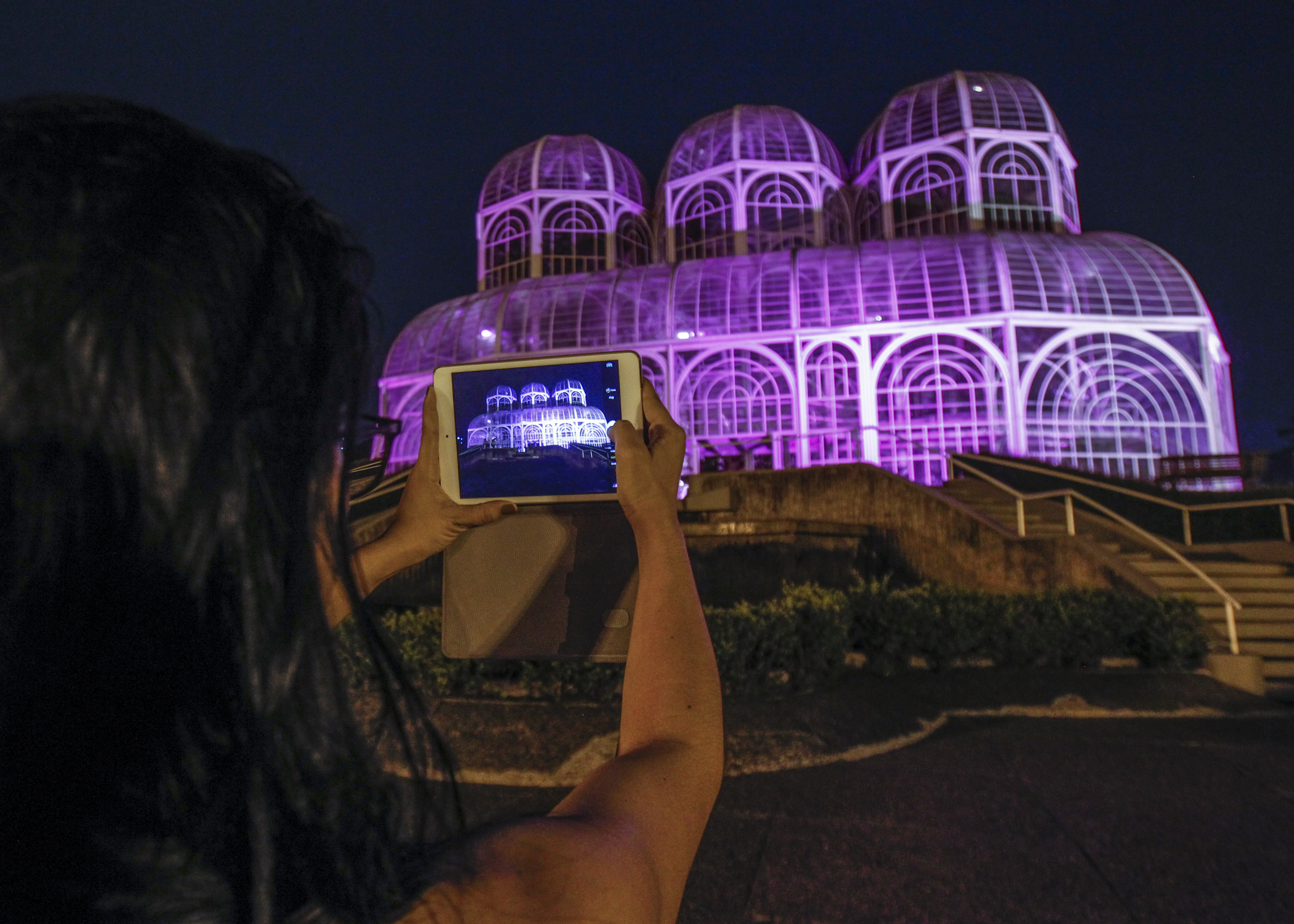 Estufa do Jardim Botânico colorida de rosa em outubro de 201. | Daniel Castellano/Gazeta do Povo
