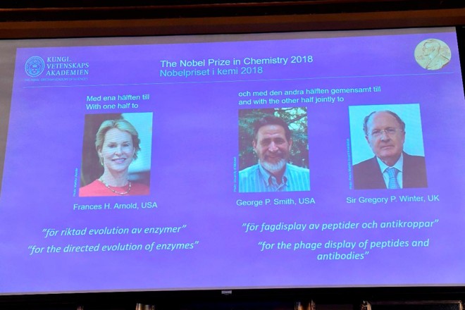 Uma tela exibe retratos de Frances H Arnold, George P Smith e Gregory P Winter durante o anúncio dos vencedores do Prêmio Nobel de Química de 2018, na Academia Real de Ciências da Suécia | JONAS EKSTROMER/AFP