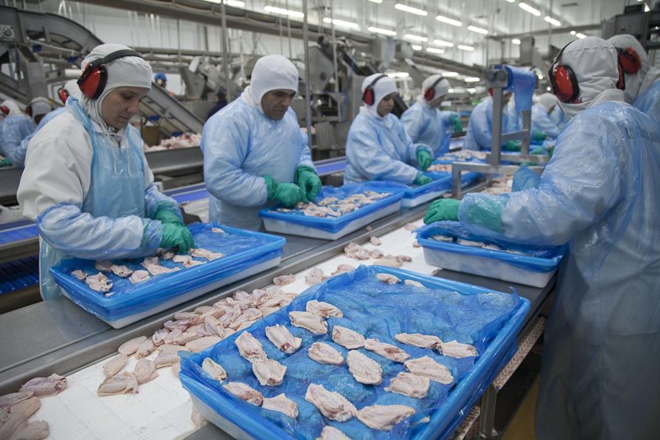 De janeiro a setembro, o Brasil exportou 3 milhões de toneladas de frango. | Daniel Caron/Gazeta do Povo