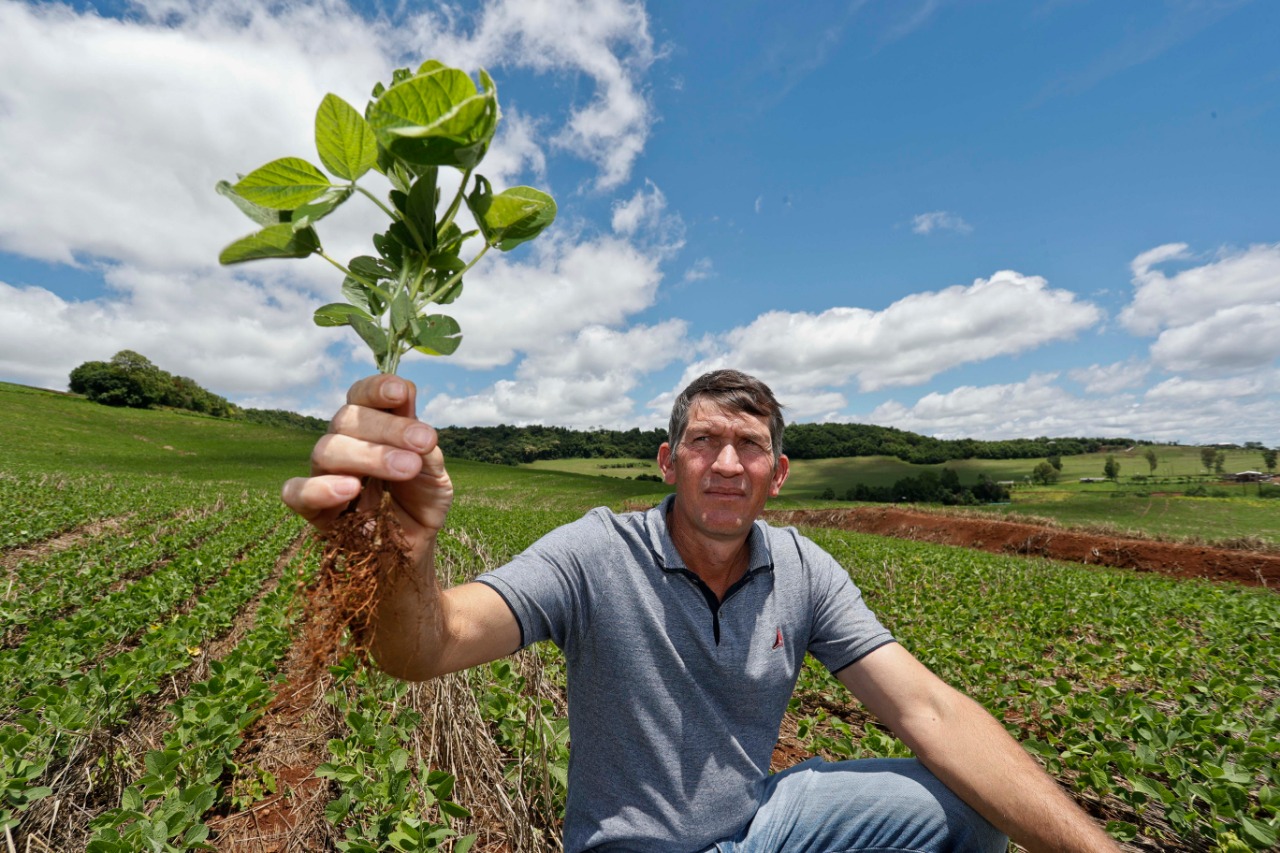 Valdair Nesi, produtor de Francisco Beltrão, no Sudeste do Paraná. Ele espera colher nesta no mais soja do que em 2017, quando a produção foi de 62 sacas por hectare. | Jonathan Campos/Gazeta do Povo