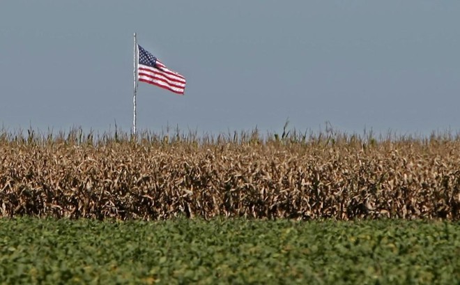 Depois de meses de notícias ruins, os fazendeiros americanos finalmente podem respirar um pouco mais aliviados. | ALBARI ROSA/Gazeta do Povo