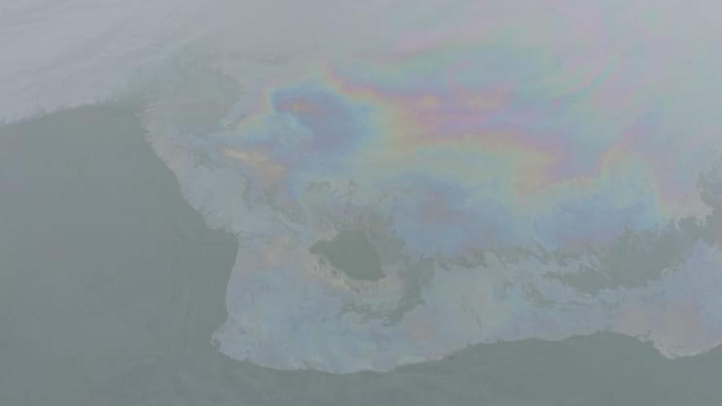 Segundo IAP, não há mais óleo na praia de Brasília | Felipe Andrews/