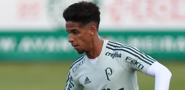 | Cesar Greco/Ag. Palmeiras