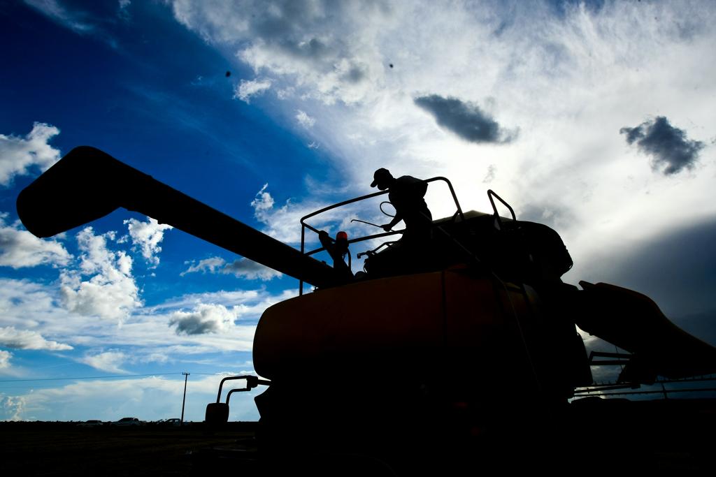 | ANDRE RODRIGUES/ANDRE RODRIGUES