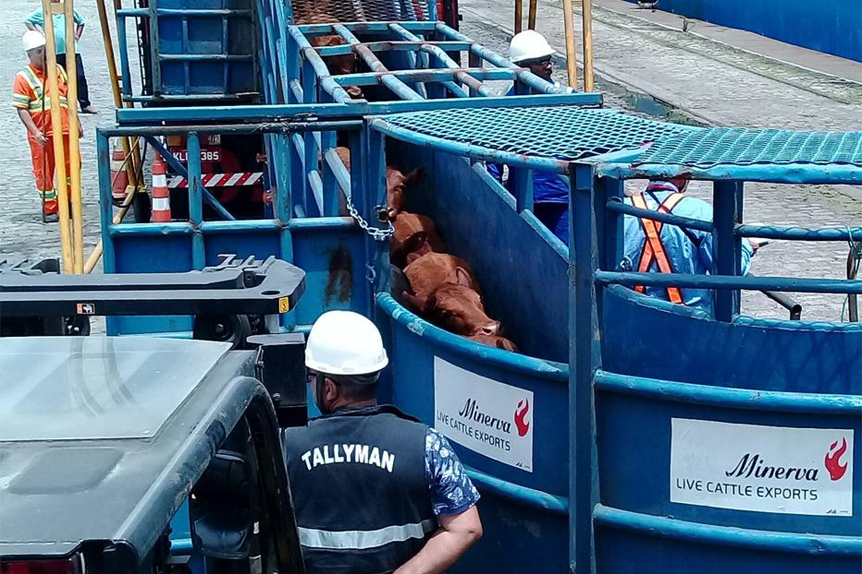 Em abril deste ano, Fachin suspendeu a norma por meio de uma ação da Confederação Nacional da Agricultura e Pecuária do Brasil (CNA). | Divulgação/