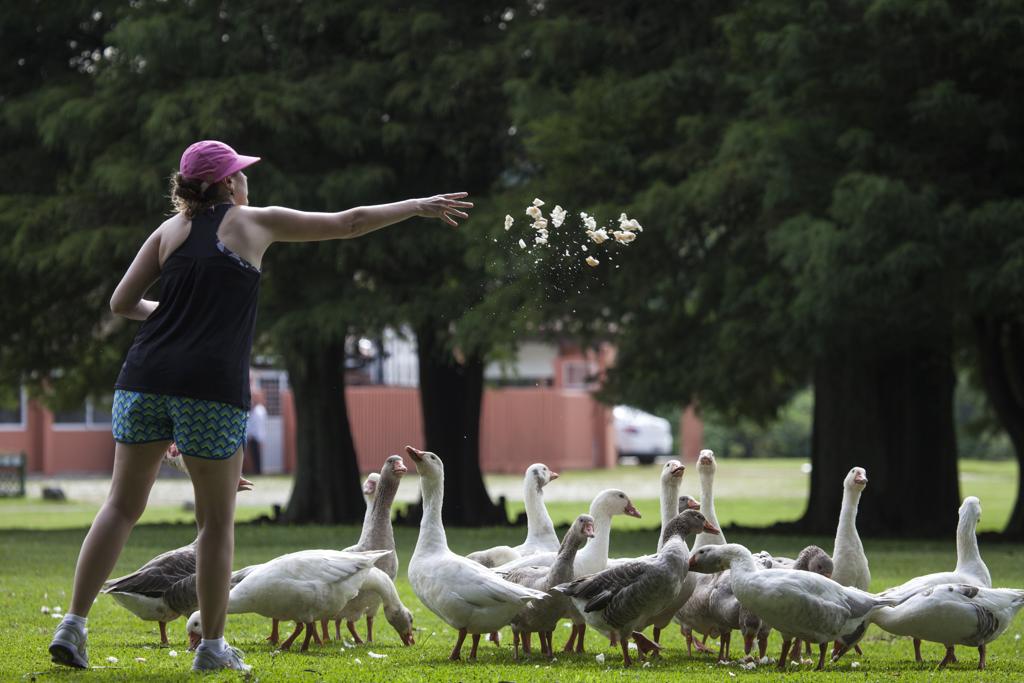 Aproveite a terça-feira, pois na quarta volta a chover em Curitiba. | Daniel Caron/Gazeta do Povo