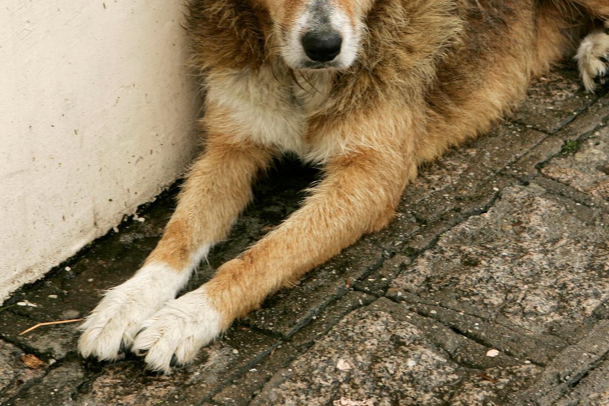Imagem ilustrativa. | Antônio Mor/
Gazeta do Povo/Arquivo