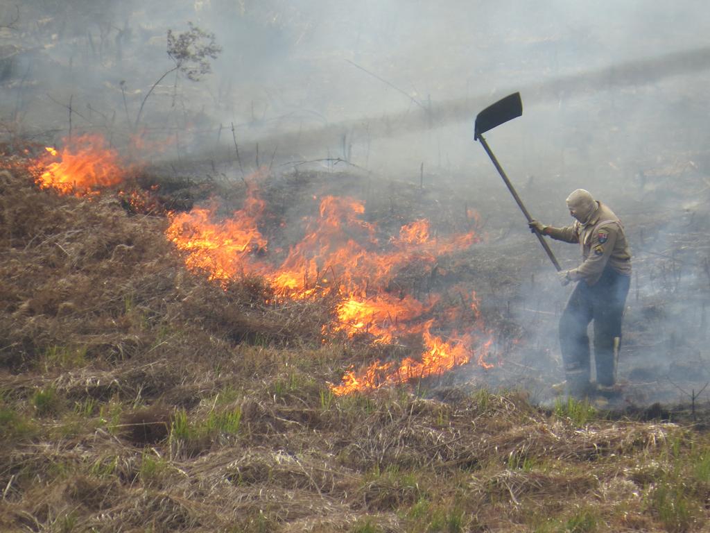 | Aniele Nascimento/Gazeta do Povo