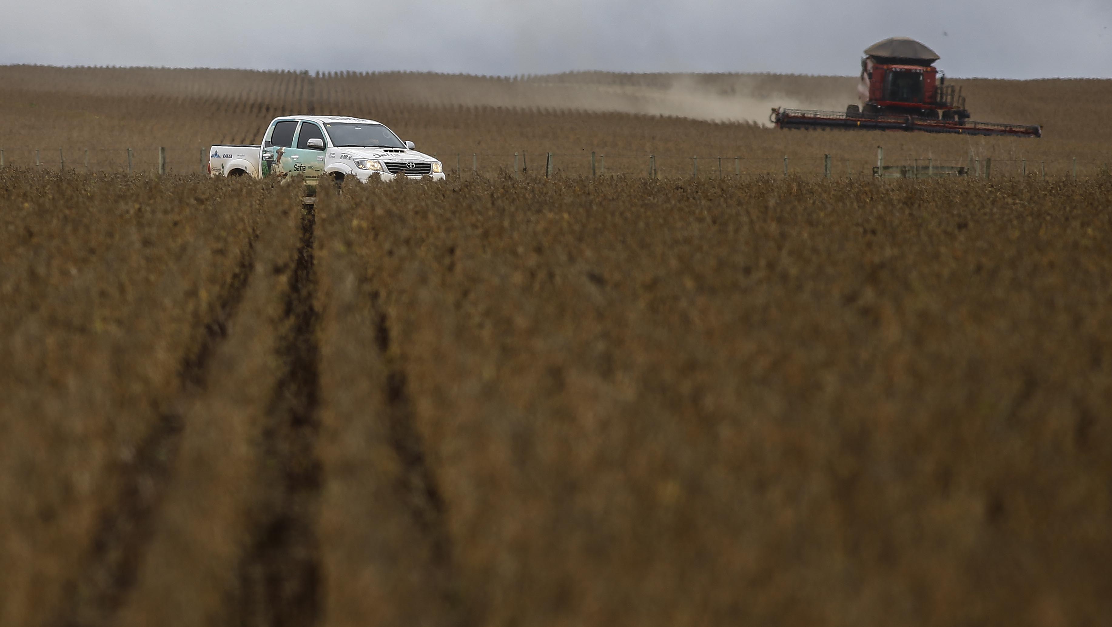 Em sua 13ª edição, a expedição é um dos maiores e mais tradicionais levantamentos técnico-jornalísticos da safra de grãos na América do Sul | Jonathan Campos/Gazeta do Povo