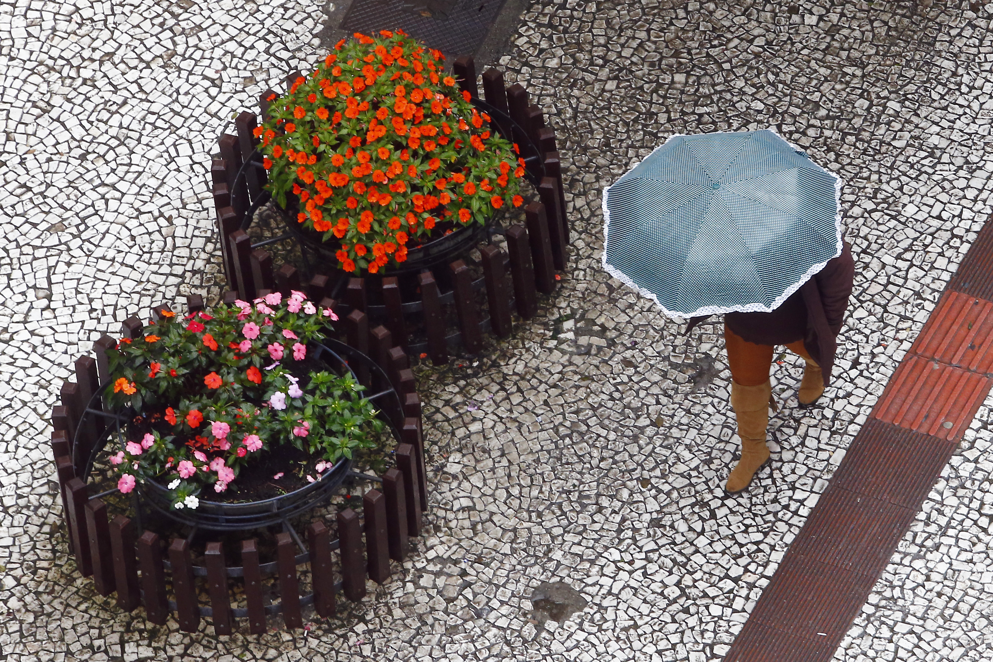 | Albari Rosa/Gazeta do Povo