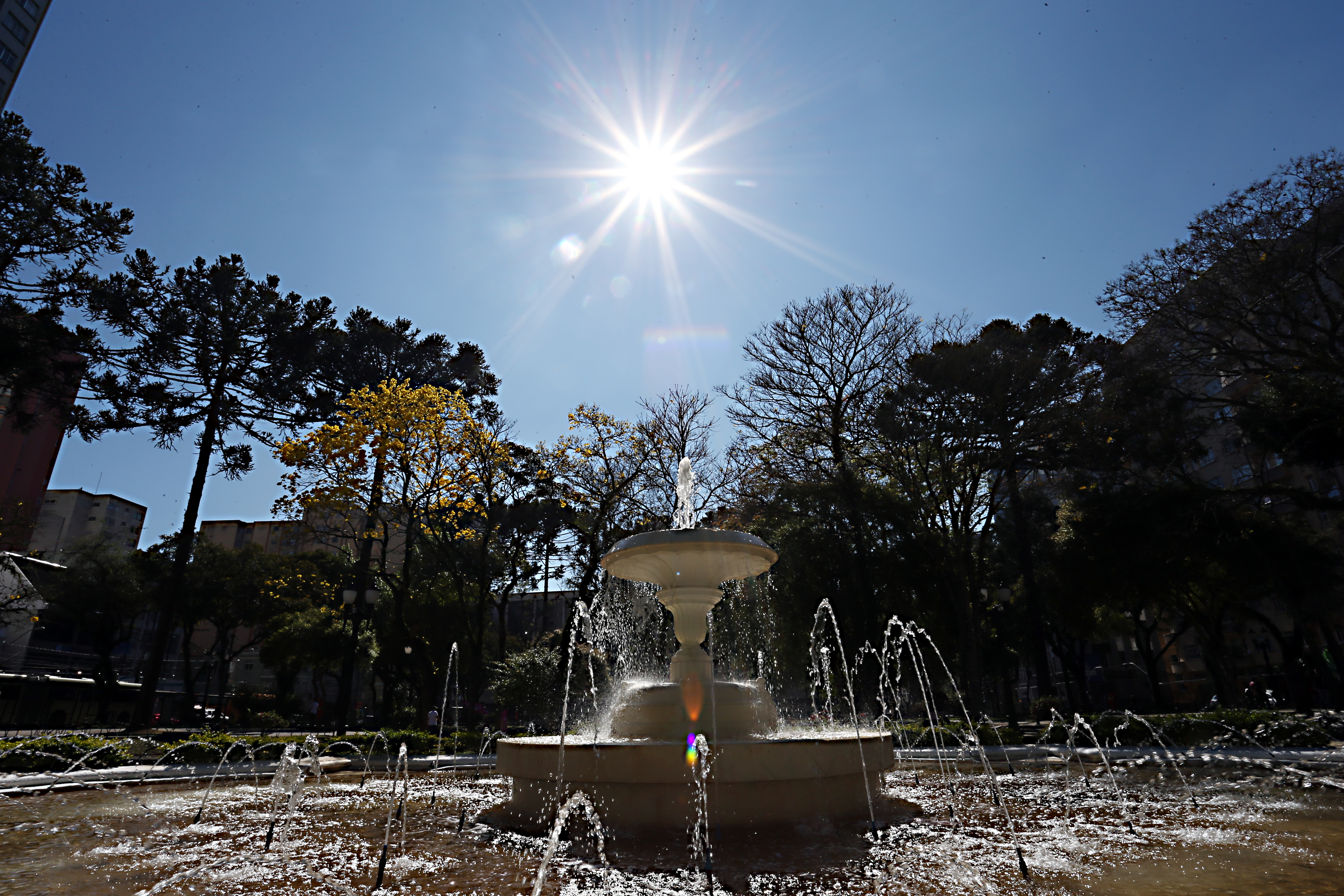  | Albari Rosa/Gazeta do Povo