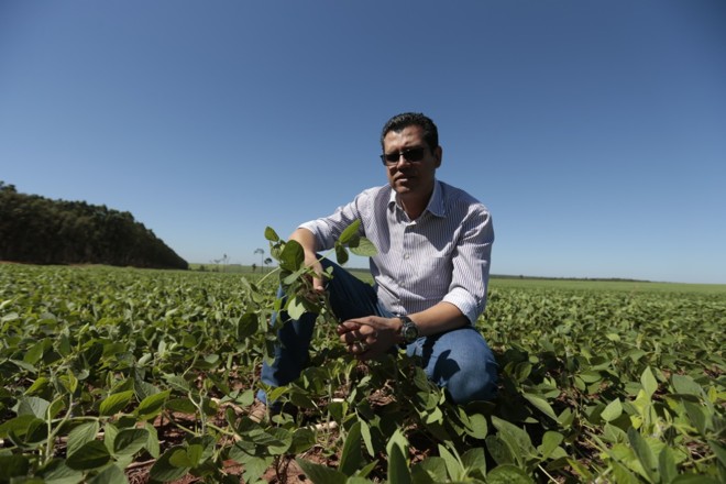 Everaldo Jorge dos Reis em área arrendada no Mato Grosso do Sul | Fernando Zequinão/Gazeta do Povo