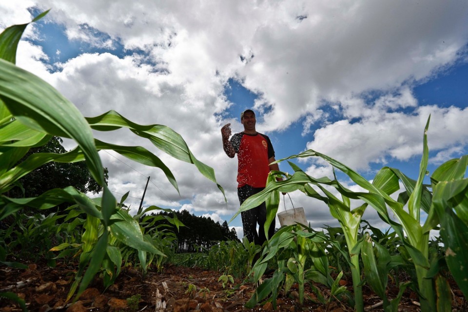 O produtor Gilson Korkedt, de Coronel Freitas (SC), vai apostar no milho este ano. Dos  49 hectares que possui, 39 serão cobertos com o cereal. | Jonathan Campos/Gazeta do Povo