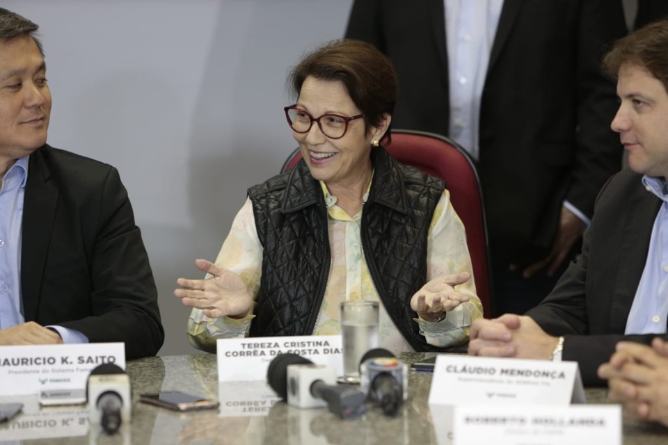 Futura ministra Tereza Cristina deu entrevista nesta sexta-feira em Campo Grande | /
