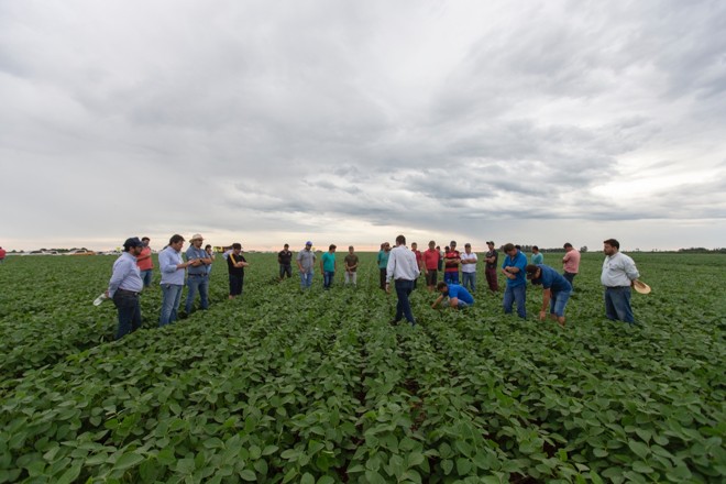 Agricultores do Paraguai reunidos: produtores realizam de plantio de soja sobre soja, o que pode impactar a produtividade. | Fernando Zequinão/Gazeta do Povo
