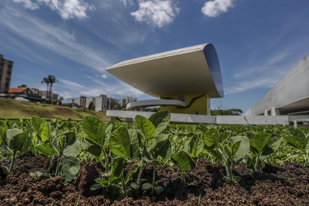 A pequena lavoura faz parte de uma das exposições da Bienal Internacional de Arte Contemporânea 2018 | Jonathan Campos/Gazeta do Povo