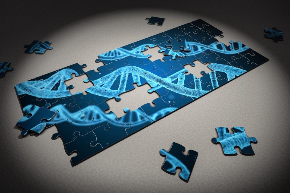 Há poucos anos, os cientistas descobriram uma forma fácil de alterar genes, conhecida como CRISPR-cas9 | Pixabay
