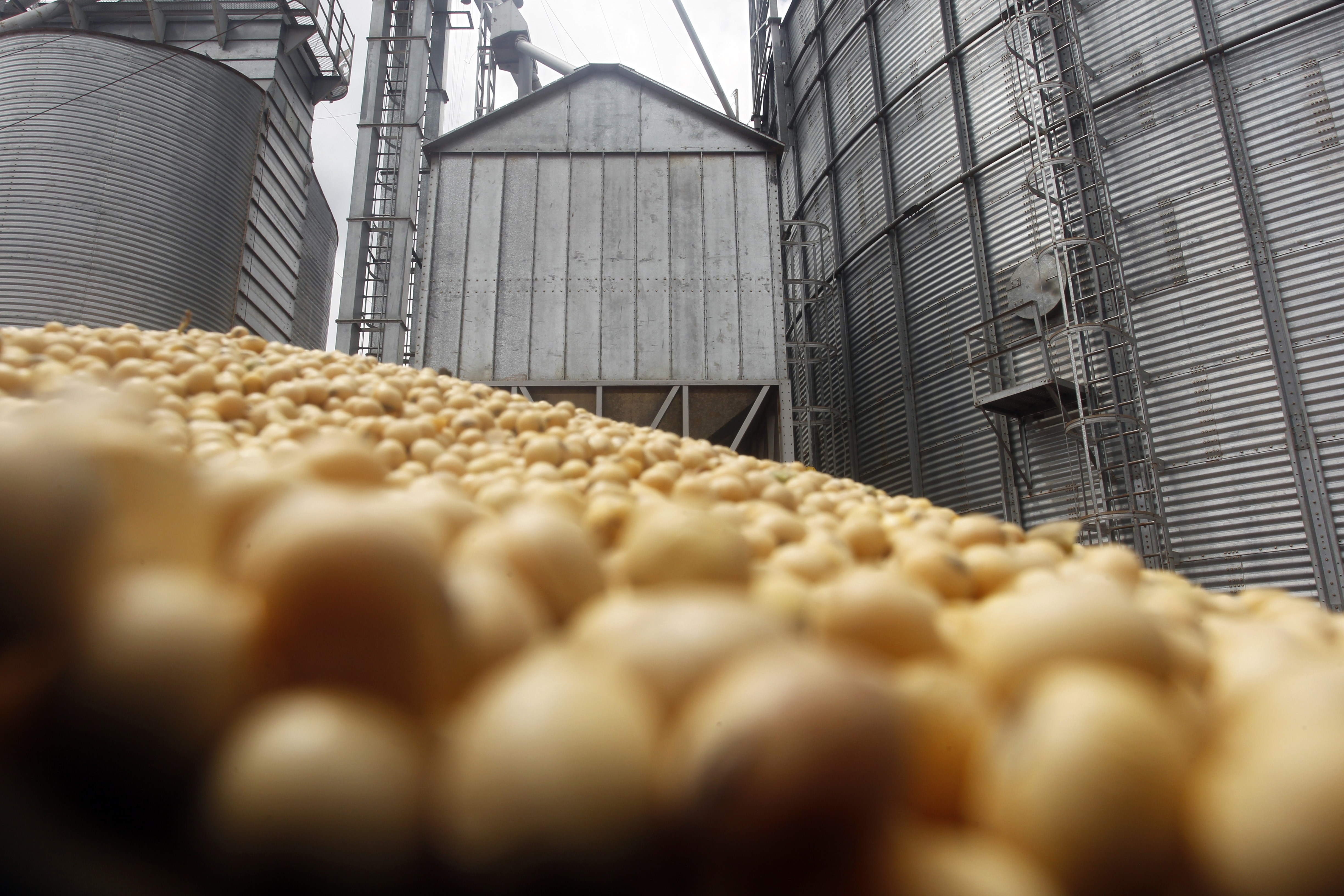  | Daniel Caron/Gazeta do Povo