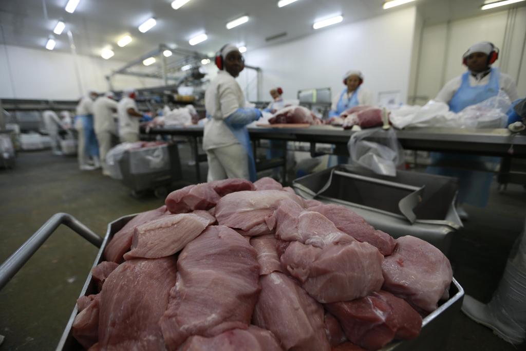 Frigorífico : cortes premium vão virar carne moída suína. | Jonathan Campos/Gazeta do Povo