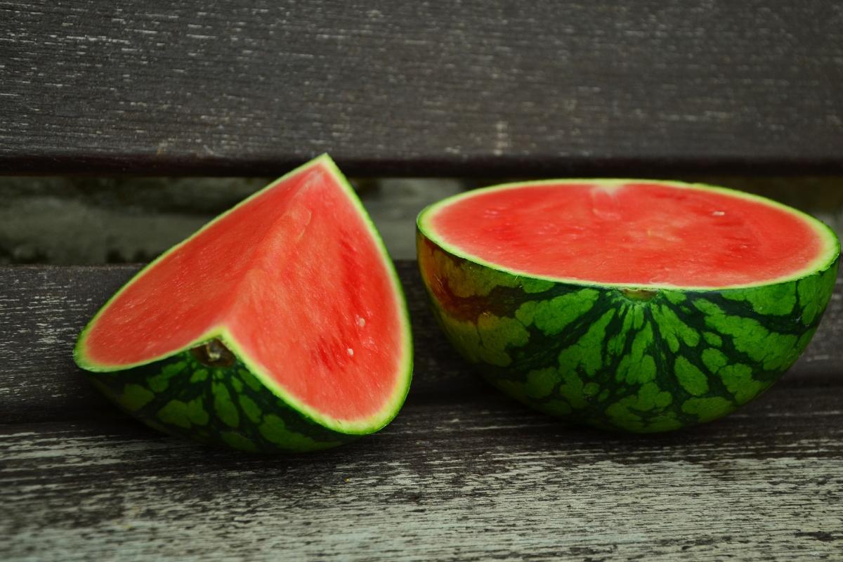 Atualmente os Partidos Verdes estão mais preocupados com políticas socialistas do que com o meio ambiente | Pixabay