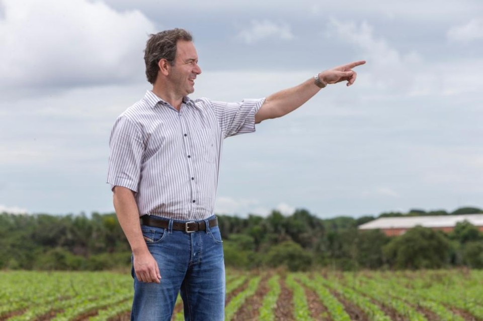 O engenheiro agrônomo Paulo Henrique Cardoso em área de plantio de soja.  | Fernando Zequinão/Gazeta do Povo