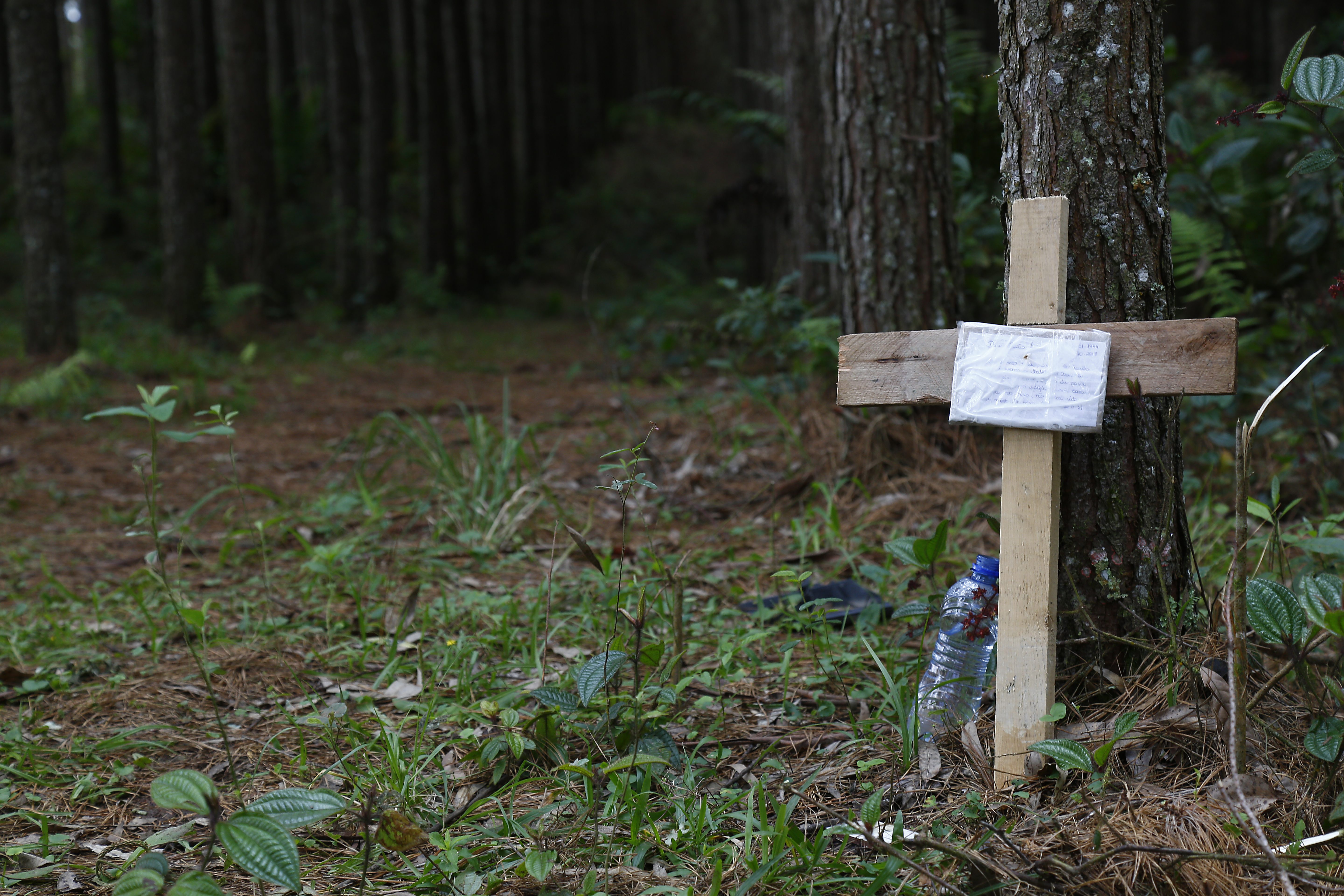 Cruz em homenagem a Daniel no matagal em que o corpo do jogador foi encontrado em São José dos Pinhais. | Aniele Nascimento/Gazeta do Povo
