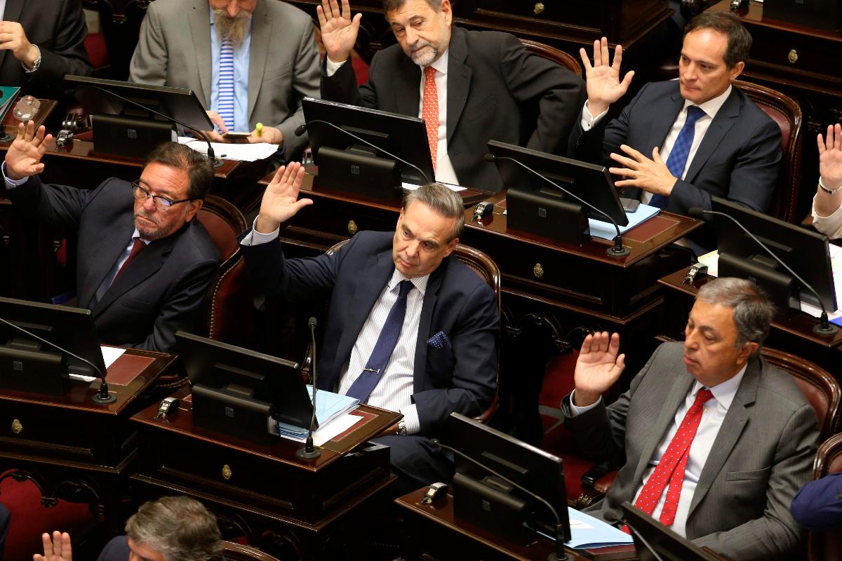 Senadores argetinos votam a lei orçamentária para 2019 | DANIEL VIDES/AFP