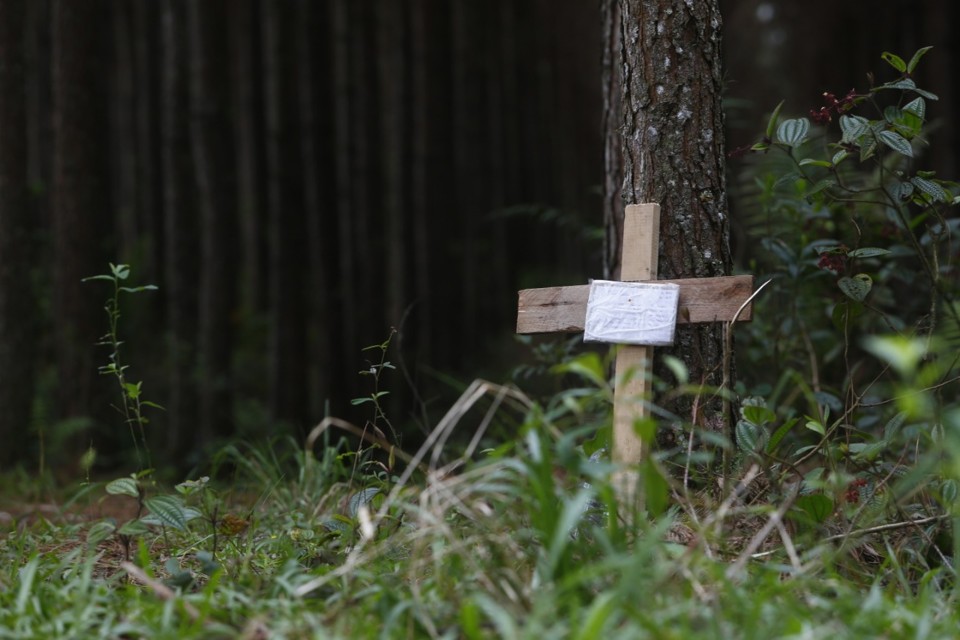 Cruz em homenagem ao jogador Daniel onde o corpo foi encontrado em um matagal de São José dos Pinhais. | Aniele Nascimento/Gazeta do Povo