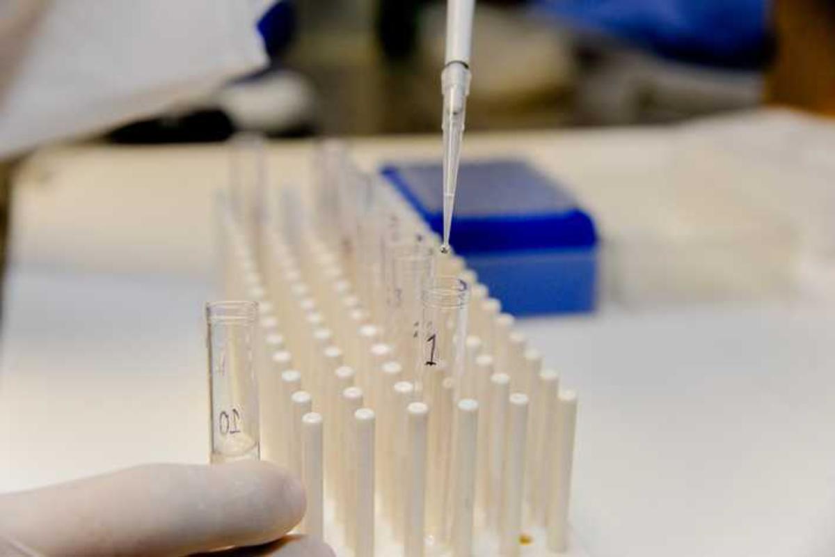 Experimento em laboratório do Instituto de Ciências Biológicas. | Julia Duarte / UFMG.