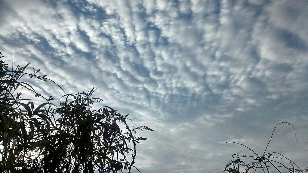 A capital terá mais um dia de céu com bastante nuvens | Aniele Nascimento/Gazeta do Povo