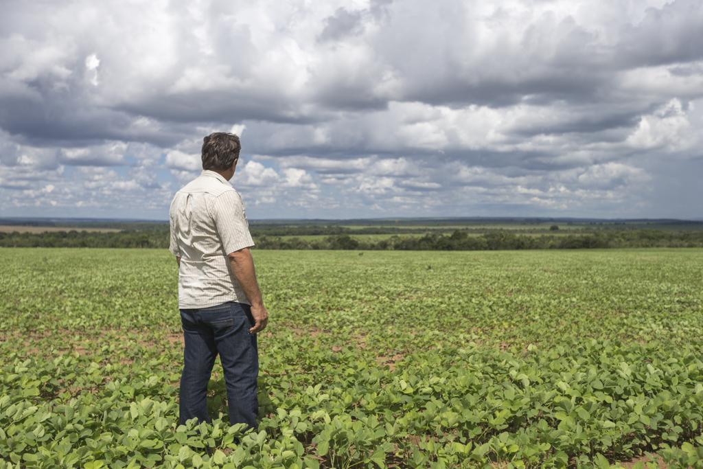 Agricultor do Mato Grosso: para Secretário especial de Agricultura Familiar e do Desenvolvimento Agrário, fé preciso melhorar a comercialização entre agricultores e consumidores. | Fernando Zequinão/Gazeta do Povo