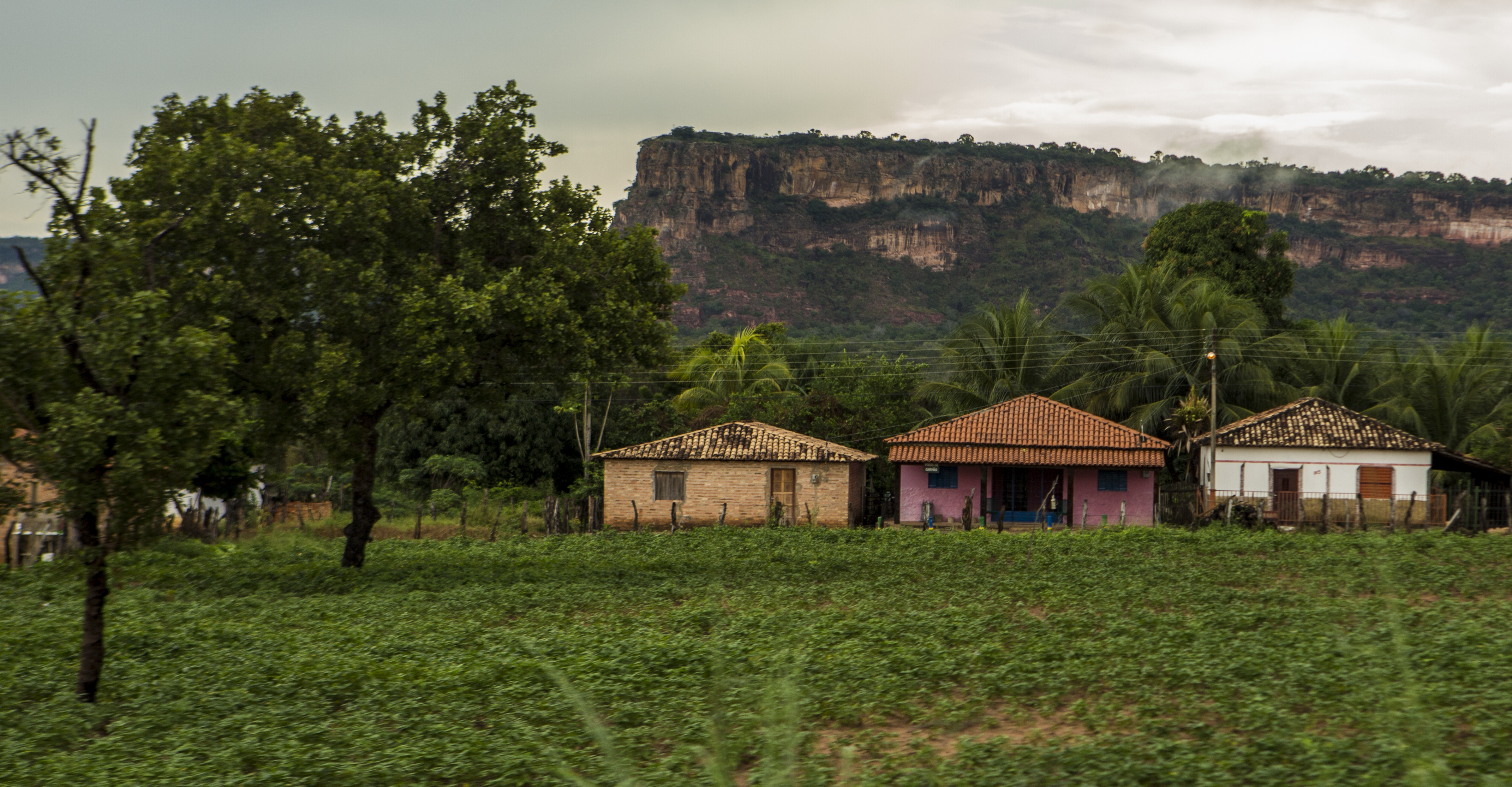 Novo prazo para preenchimento de Cadastro Ambiental Rural (CAR) é dia 29 de dezembro de 2019. | Marcelo Andrade/Gazeta do Povo