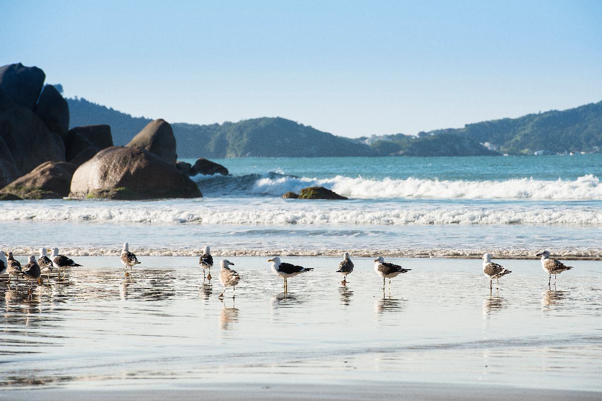 As férias coletivas são aquelas concedidas simultaneamente a todos os empregados da empresa | Letícia Akemi/Gazeta do Povo/Arquivo