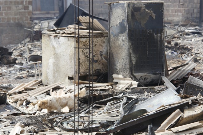 | Atila Alberti/Tribuna do Parana