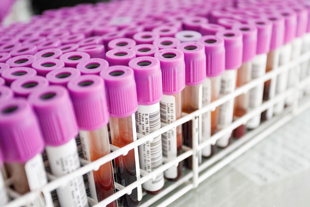 Imagem ilustrativa. | Daniel Castellano/Gazeta do Povo/Arquivo