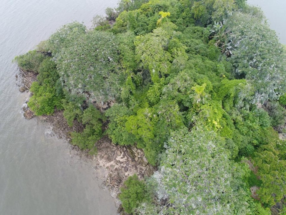 A pequena ilha é praticamente toda formada por um sambaqui, onde vários ossos humanos foram encontrados. | Luciano Augusto Mysczak/Divulgação