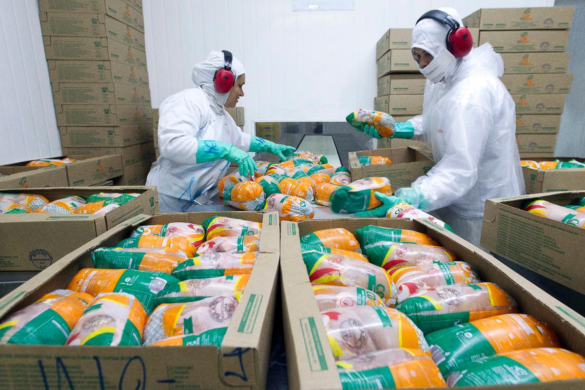 | Daniel Caron/
Gazeta do Povo