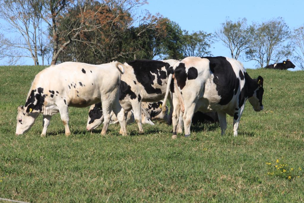 | Arquivo/Gazeta do Povo