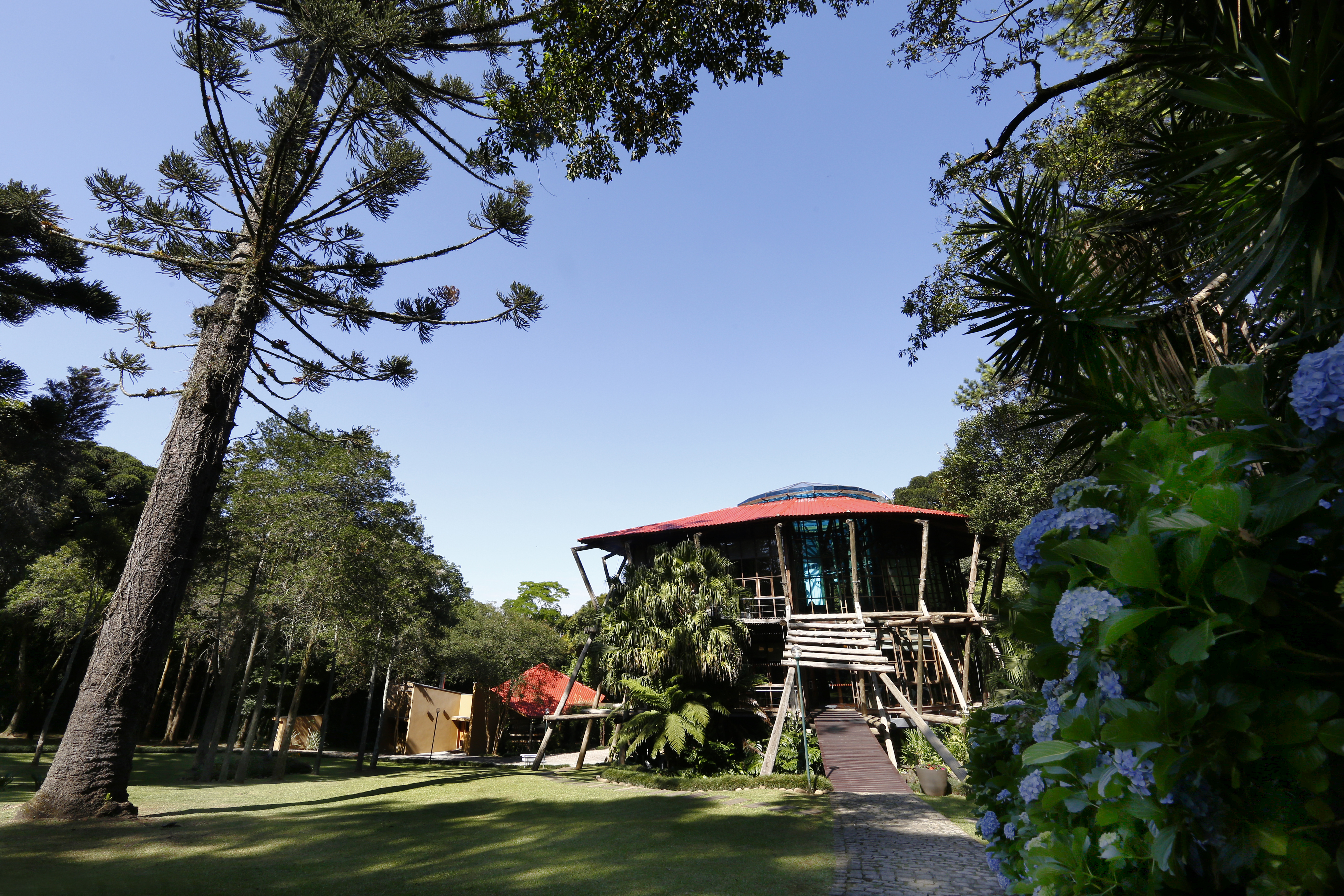 Bosque da Copel abriga o Chapéu Pensador, gabinete alternativo do ex-governador Jaime Lerner | Aniele Nascimento/Gazeta do Povo