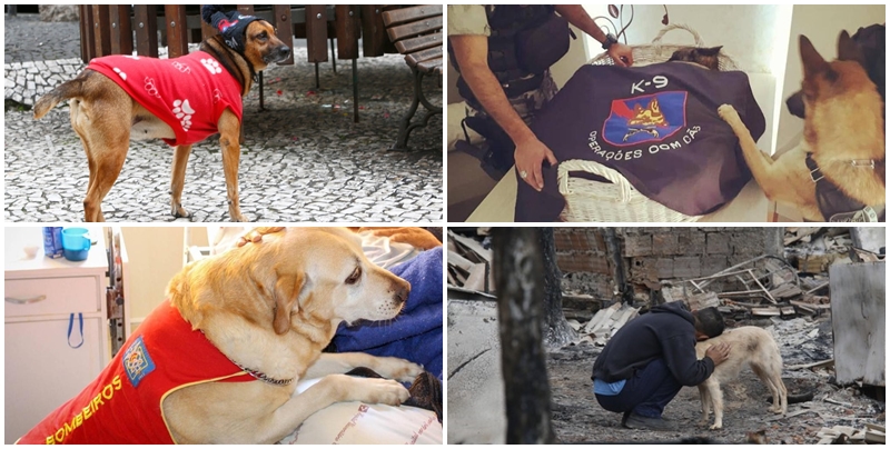 | Átila Alberti / Tribuna do Paraná/