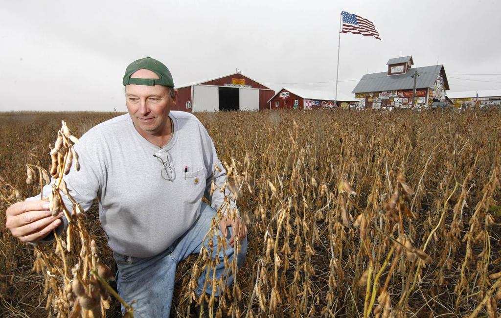 | JONATHAN CAMPOS/GAZETA DO POVO
