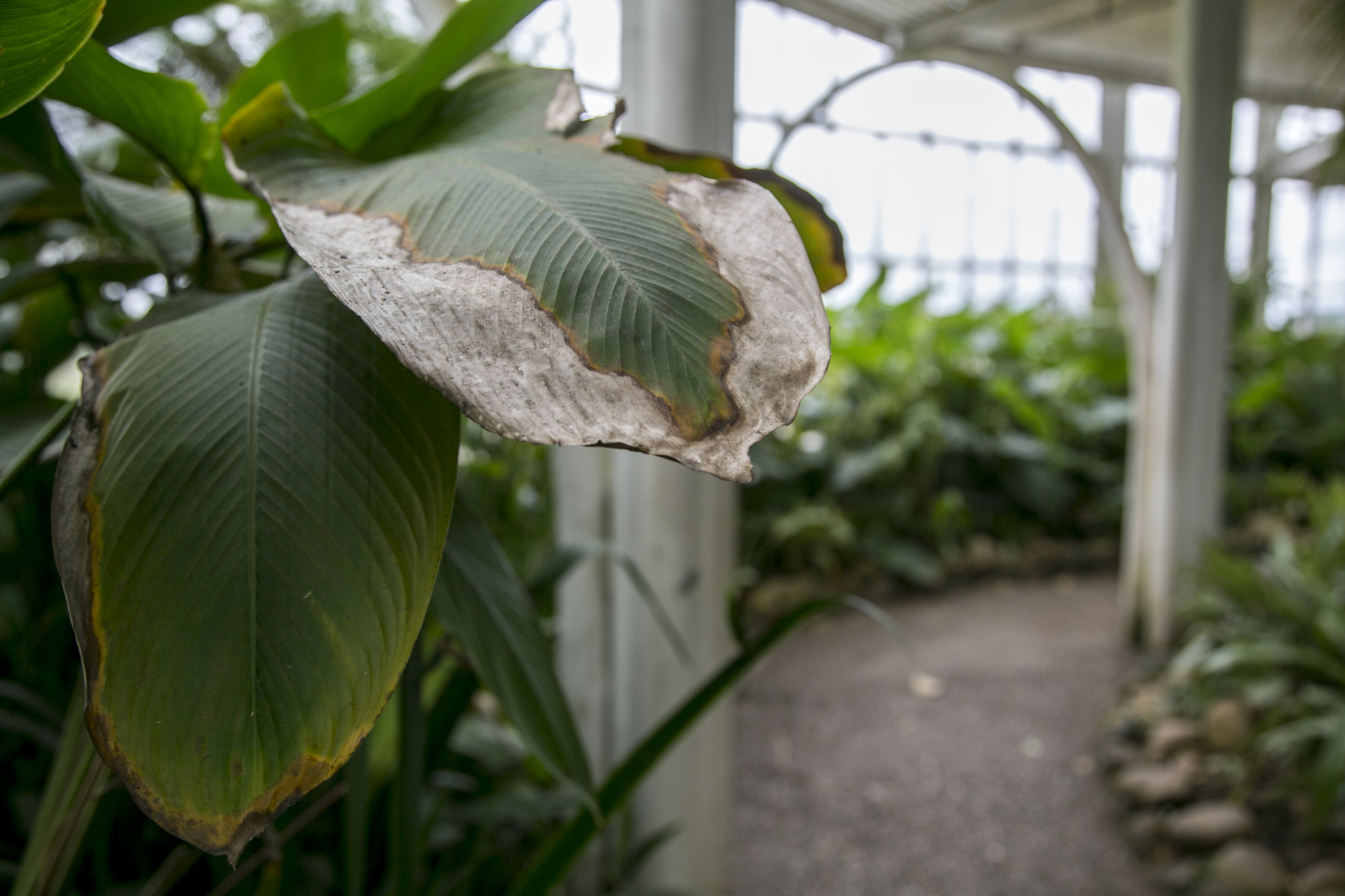  | Marcelo Andrade/Gazeta do Povo