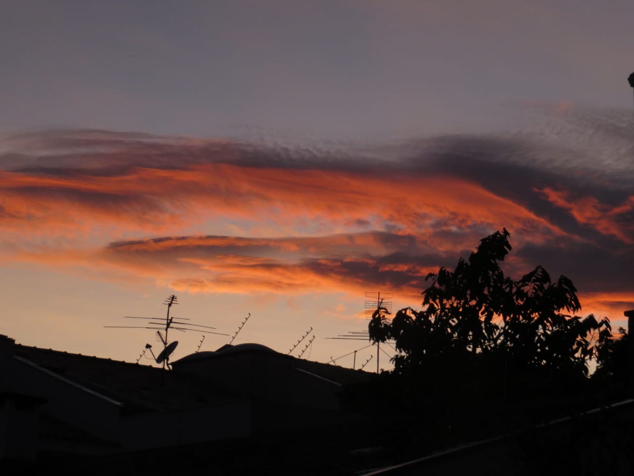 | Aniele Nascimento/Gazeta do Povo