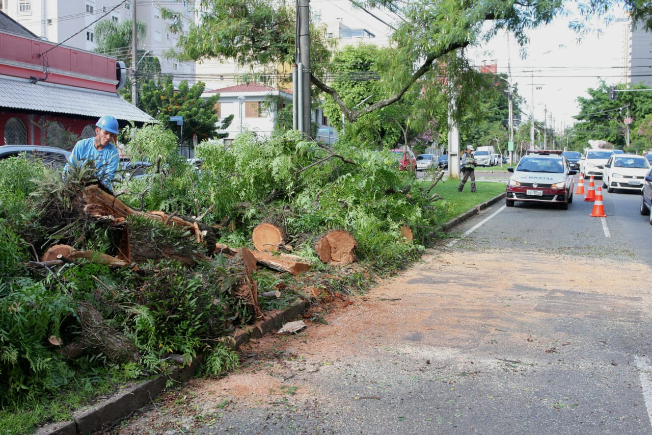 | Cassiano Rosário/Gazeta do Povo