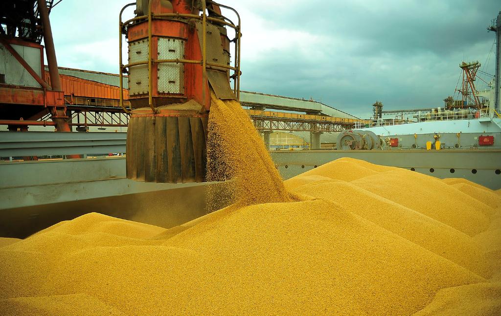 Movimentação de carga de soja no porto de Paranaguá | Ivan Bueno/APPA