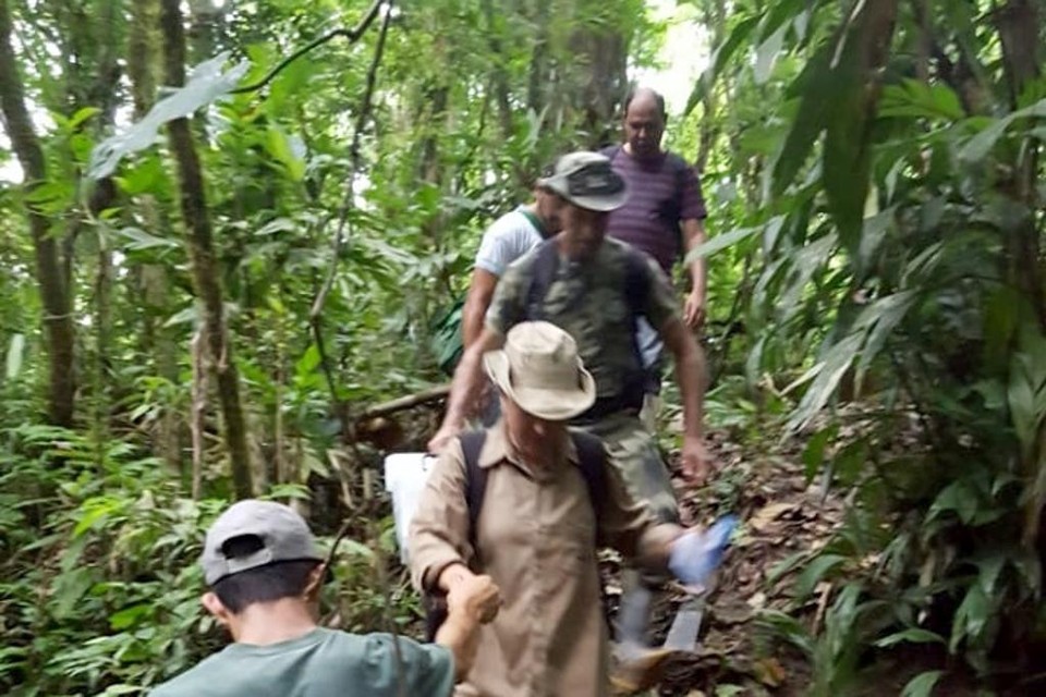 Macacos foram encontrados em região de mata fechada na região de Antonina. | Divulgação/Sesa