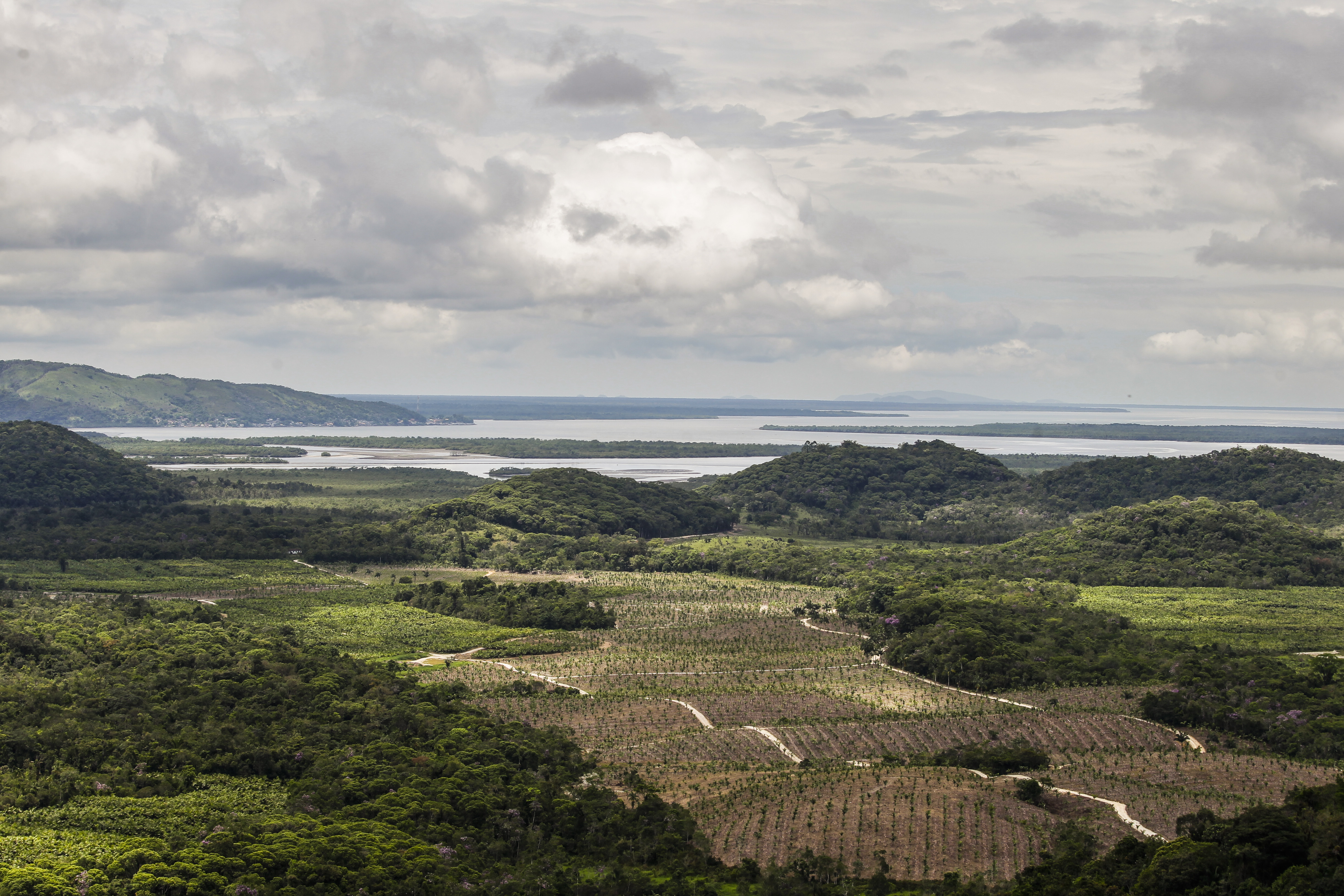 | Daniel Castellano/Gazeta do Povo